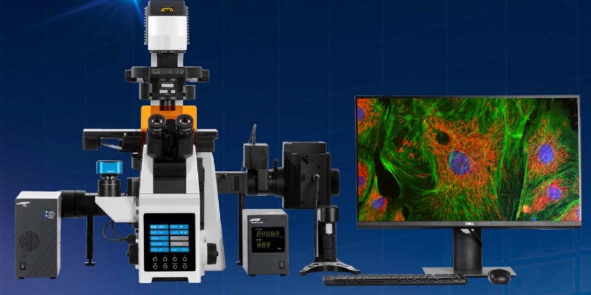 什么是倒置荧光显微镜？高德以及主要应用领域有哪些？