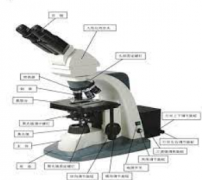 <strong>金相显微镜的组成结构特点与稳定性高德</strong>