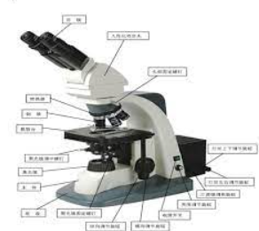 金相显微镜的组成结构特点与稳定性高德注册