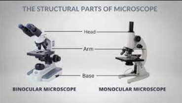子显微镜的历史及构造使用说明高德注册