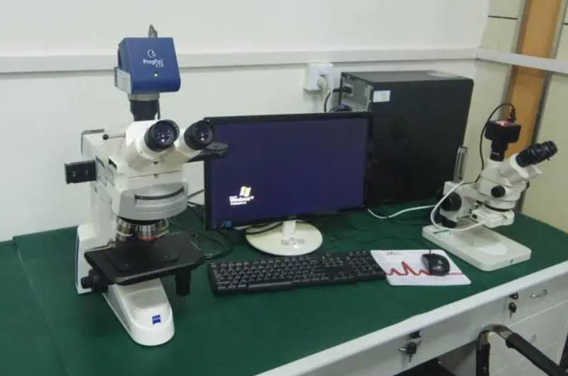 高德注册如何使用电子显微镜观察清楚？