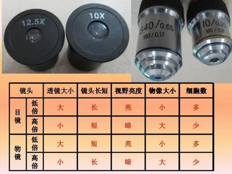 高德注册显微镜物镜如何分类