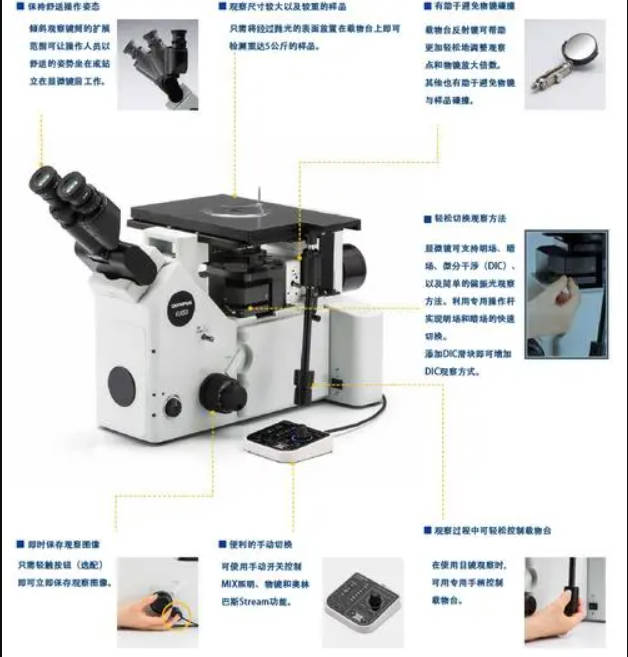 高德注册金相显微镜的组成部分