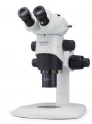 <strong>体视显微镜主要应用领域和作用高德</strong>