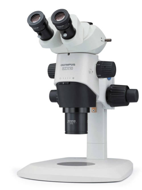 体视显微镜主要应用领域和作用高德