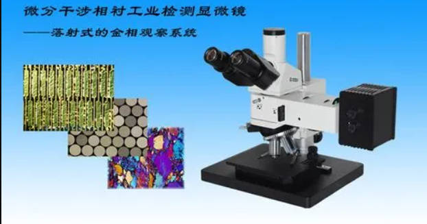 高德注册生物显微镜和金相显微镜对细胞组织的形态