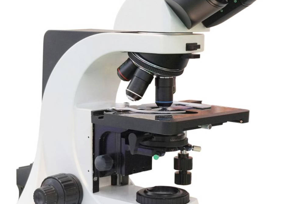 高德注册解剖显微镜